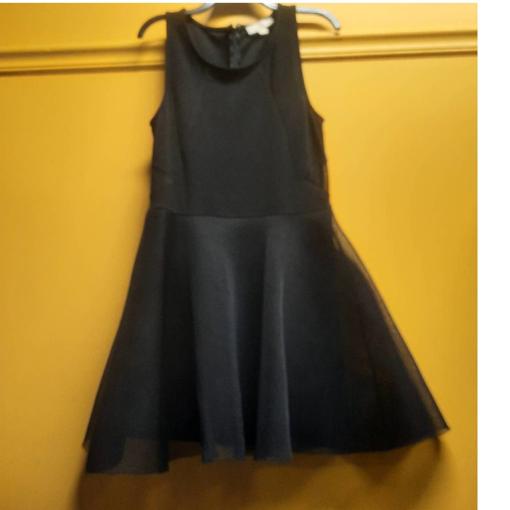 Nicki Minja Black Sleeveless Fit and Flare Mesh Overlay dress Large